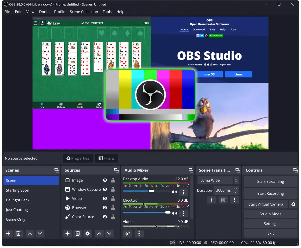 A screen displaying OBS Studio software with a card game interface, colorful overlay, and a cartoon bird in the corner.