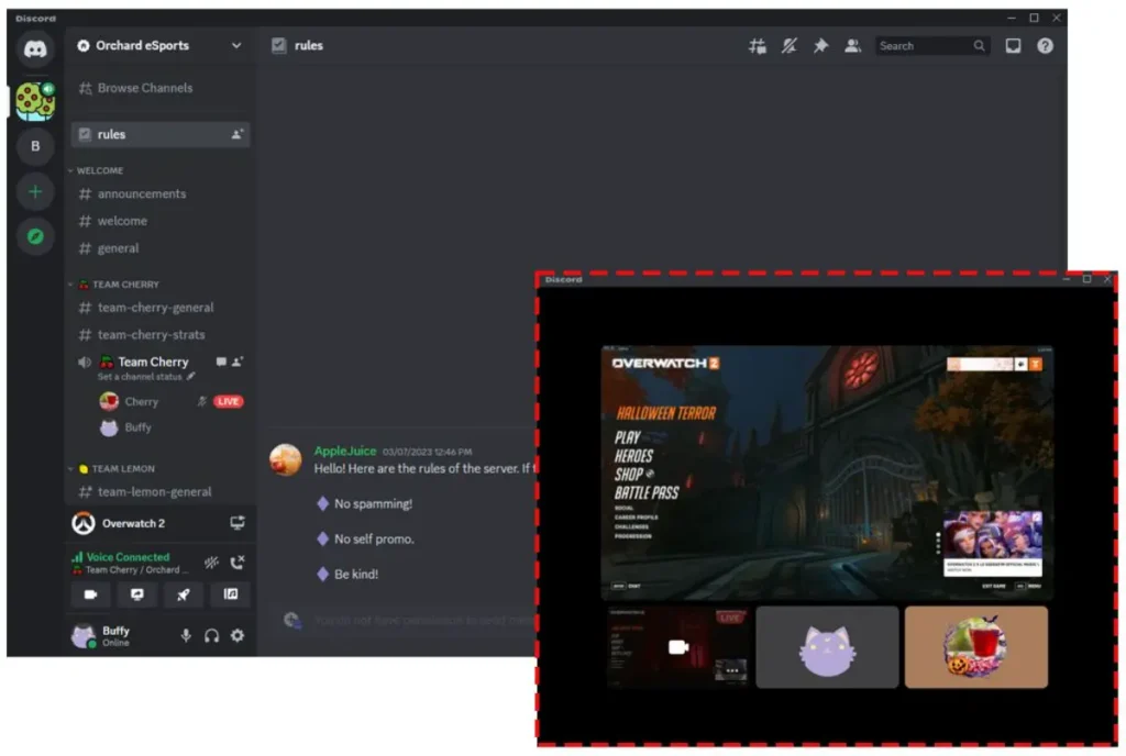 A Discord channel displaying server rules with a focus on Overwatch 2, featuring buttons for gameplay options and chat.